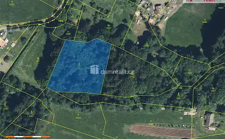 Prodej lesa 3 301 m², Semily - Bítouchov