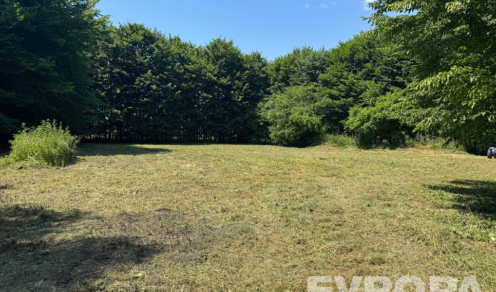 Prodej stavebního pozemku 1 199 m², Sendražice – náhled fotky 8