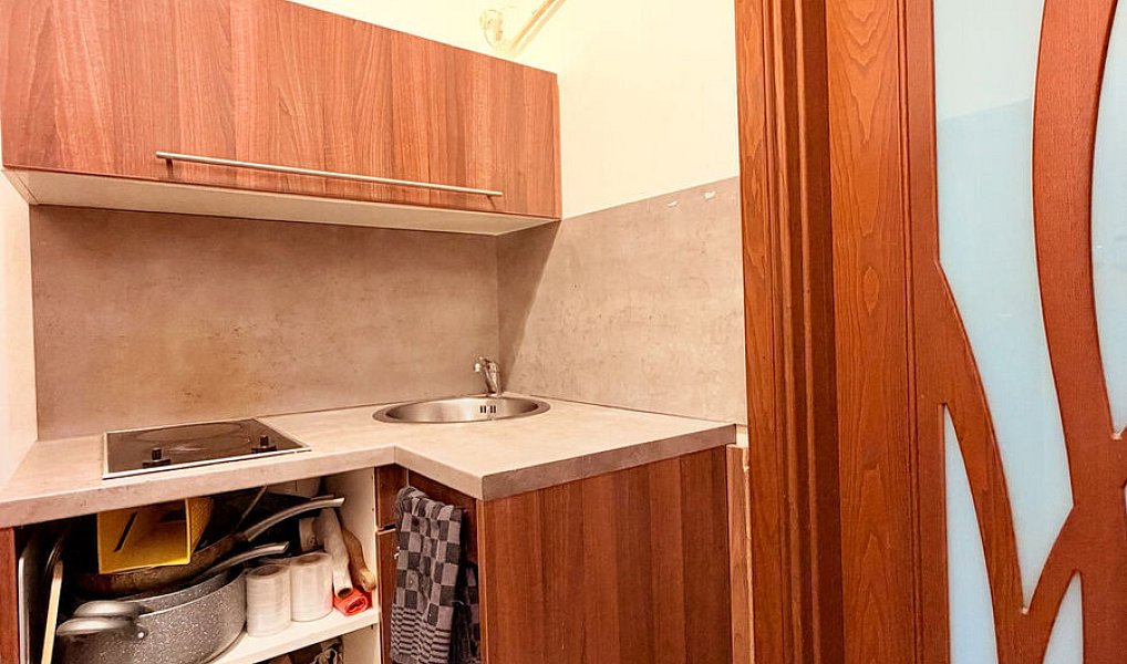Pronájem bytu 1+kk 30 m², Ostrava – náhled fotky 8
