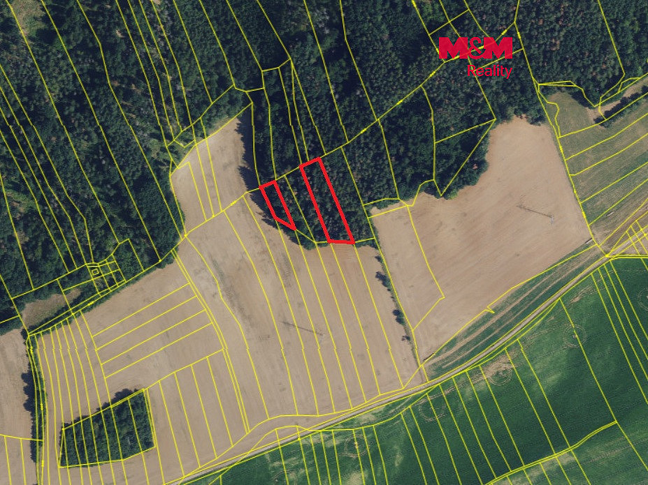 Prodej lesa 3 111 m²