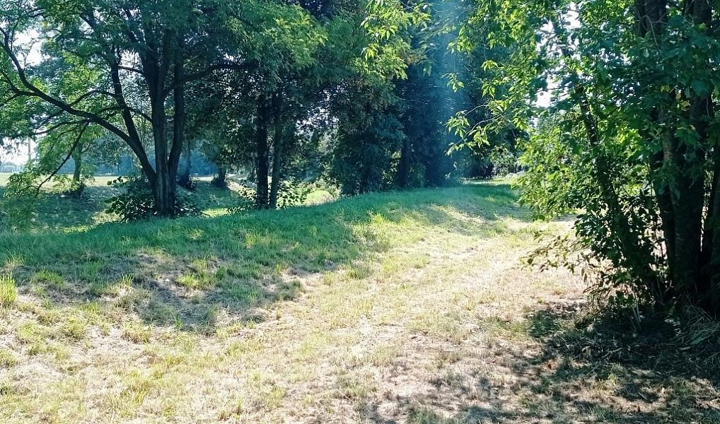 Prodej komerčního pozemku 1 200 m², Uničov – náhled fotky 2