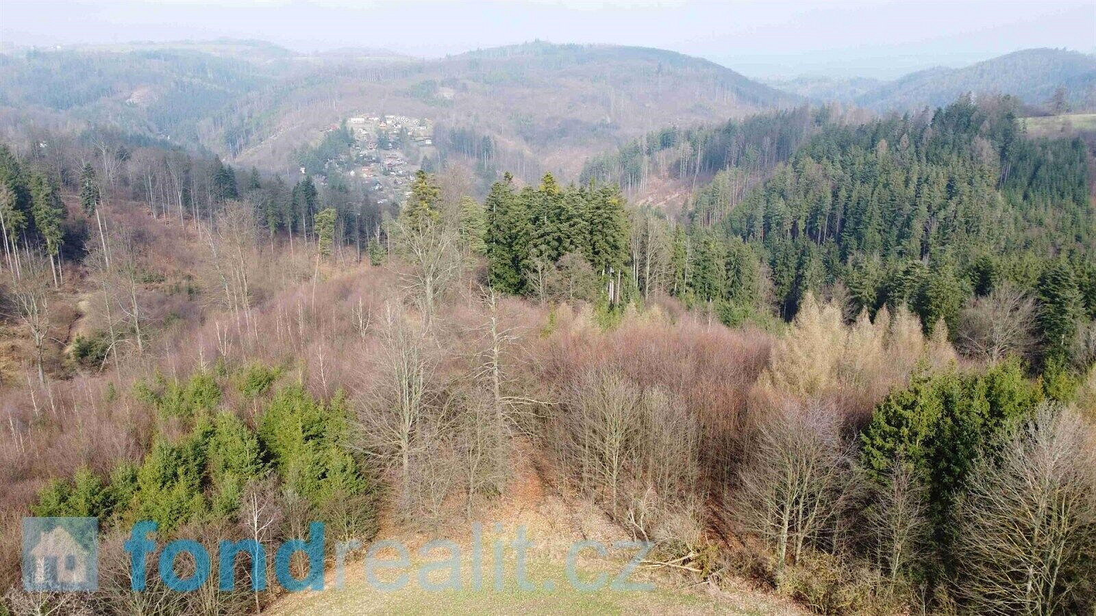 Prodej pole 7 831 m² – fotografie 4