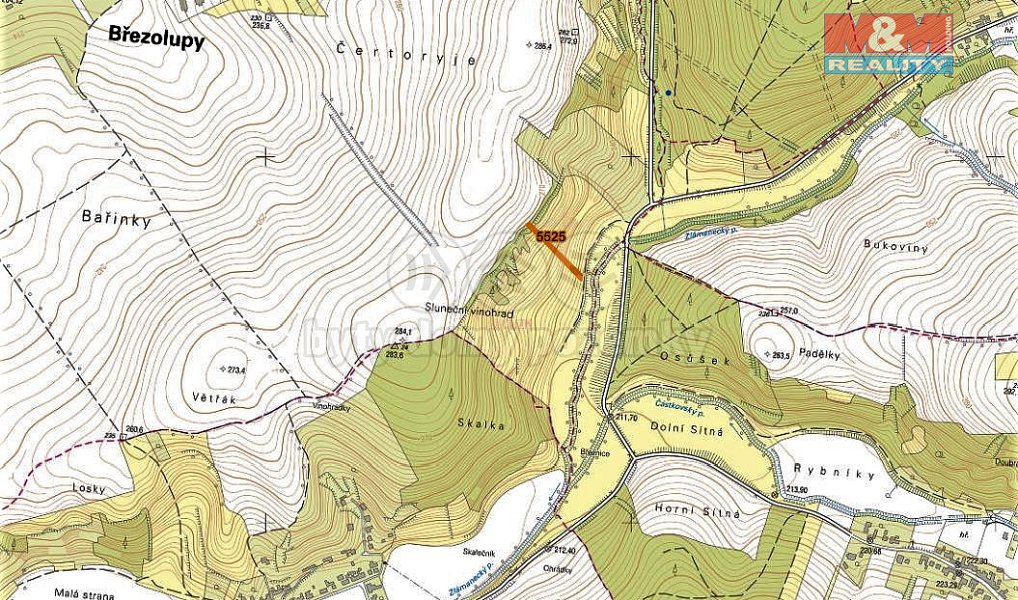 Prodej louky 1 586 m², Březolupy – náhled fotky 2
