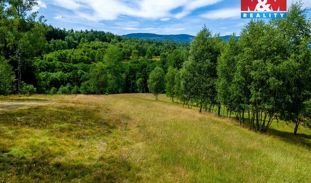 Prodej pozemku 8 531 m², Dlouhý Most – náhled fotky 23