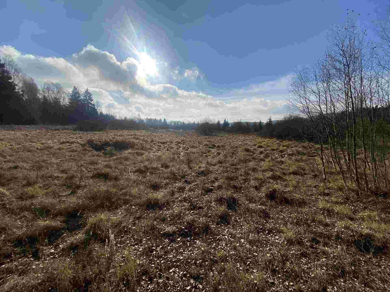Prodej pole 16 994 m² – fotografie 3
