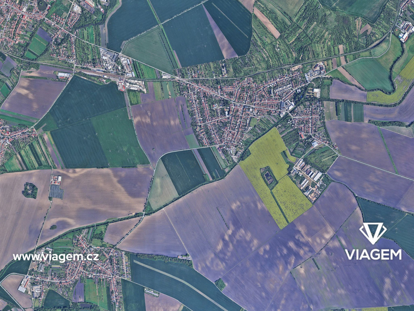 Prodej pole 5 907 m² – fotografie 3