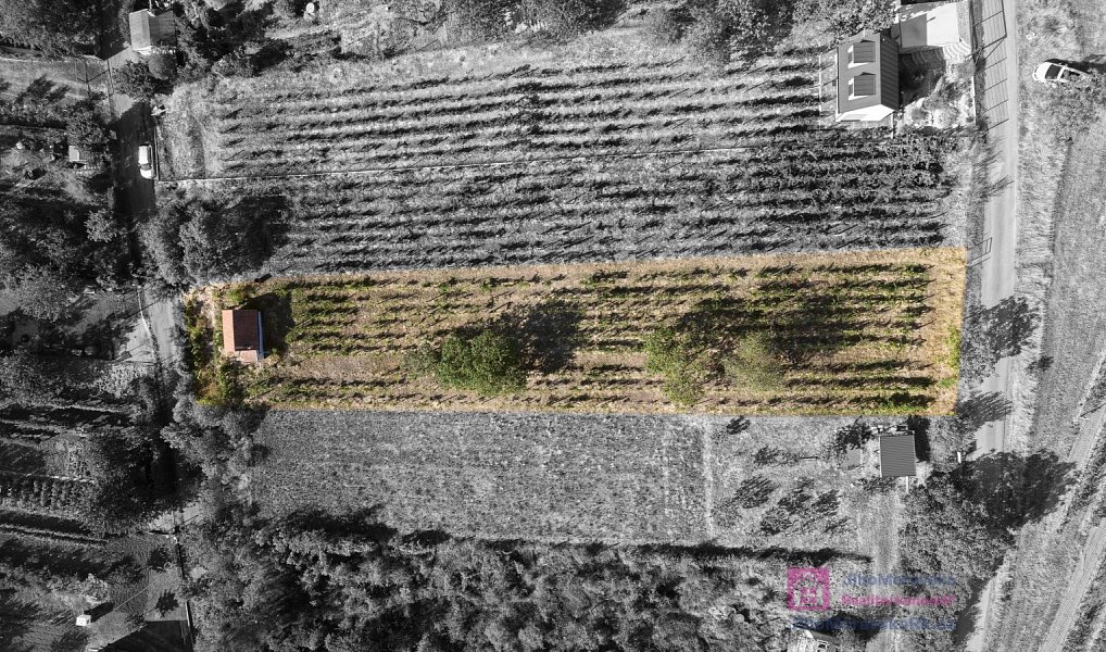 Prodej zahrady 1 256 m², Mikulov – náhled fotky 5