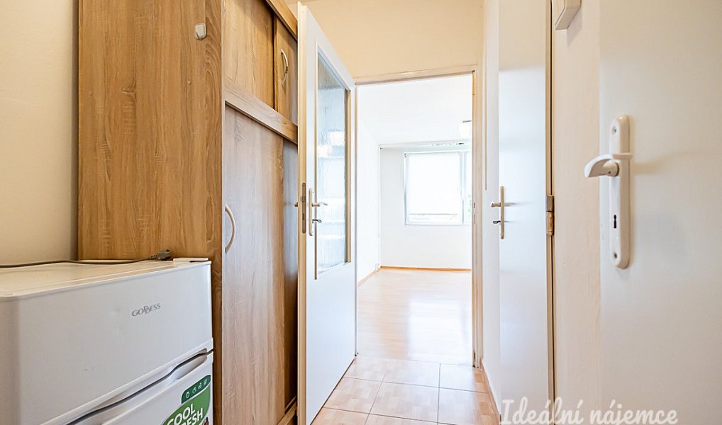 Pronájem bytu 1+kk 33 m², Praha – náhled fotky 7