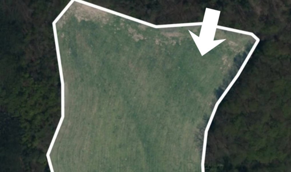 Prodej pole 60 462 m², Úštěk – náhled fotky 2