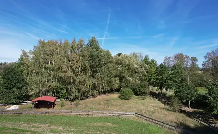Prodej pozemku 1 427 m², Bor, okres Tachov