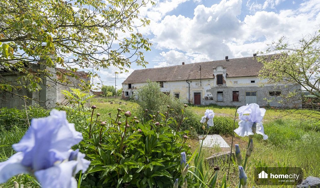 Prodej komerčního objektu (jiného typu) 1 300 m², Horní Lukavice – náhled fotky 18