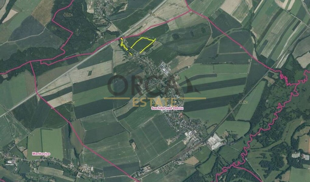 Prodej lesa 4 100 m², Suchdol nad Odrou – náhled fotky 8
