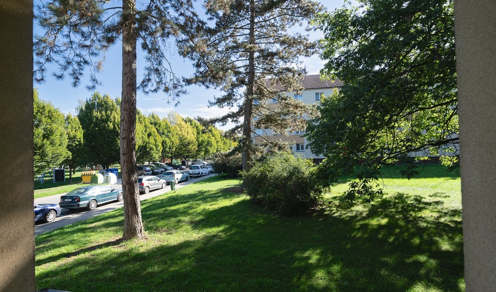Prodej bytu 3+1 56 m², Chvaletice – náhled fotky 18