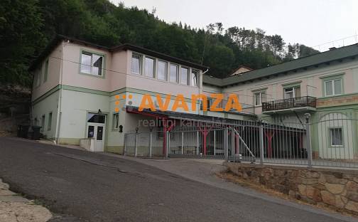 Prodej domu 600 m² s pozemkem 590 m², Děčín - Děčín XI-Horní Žleb