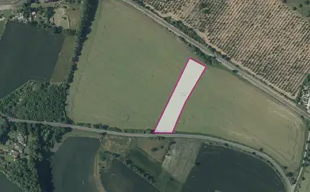 Prodej pole 4 184 m², Děčany - Solany, okres Litoměřice