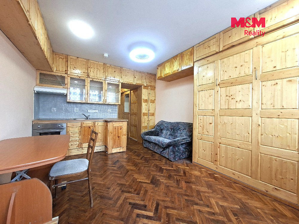 Pronájem bytu 1+kk 24 m² – fotografie 3