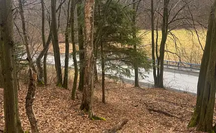 Prodej lesa 16 650 m², Zděchov - Velešovice