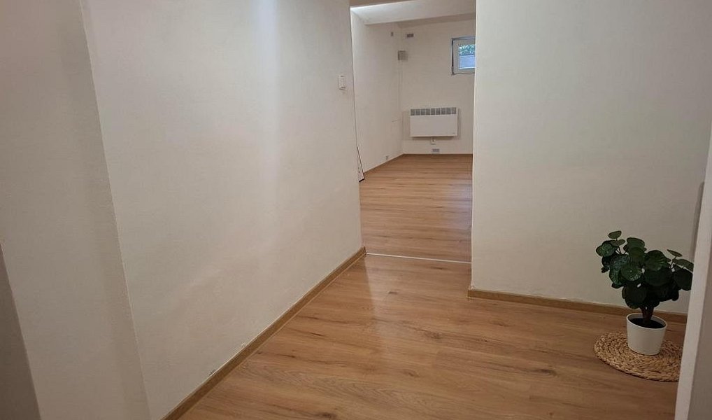 Prodej obchodních prostor 62 m², Brno – náhled fotky 10