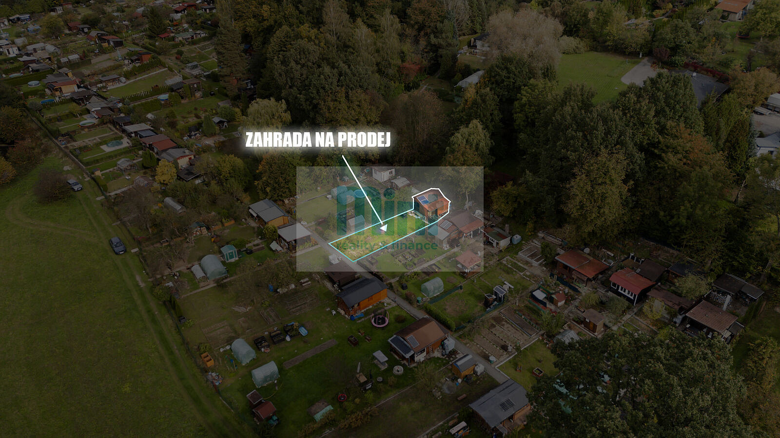 Fotka 5 z 14