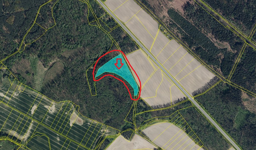 Prodej lesa 2 912 m², Třebechovice pod Orebem – náhled fotky 7