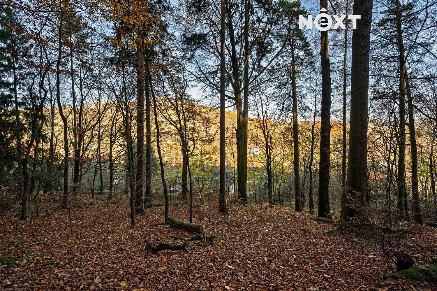 Prodej stavebního pozemku 3 487 m² – fotografie 5