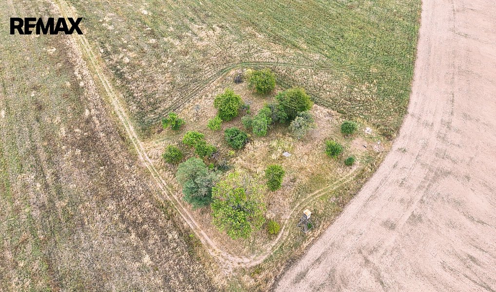 Prodej stavebního pozemku 3 633 m², Ošelín – náhled fotky 2