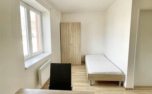 Pronájem bytu 1+kk 17 m², Hybešova, Brno - Staré Brno