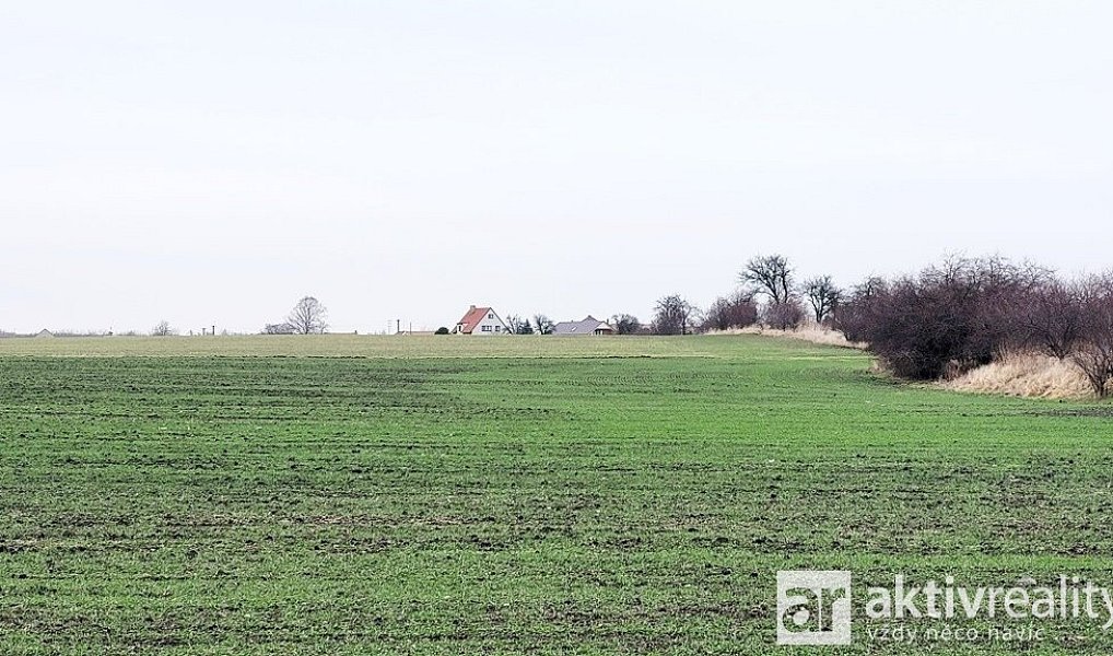 Prodej pole 19 414 m², Kostelec nad Labem – náhled fotky 6