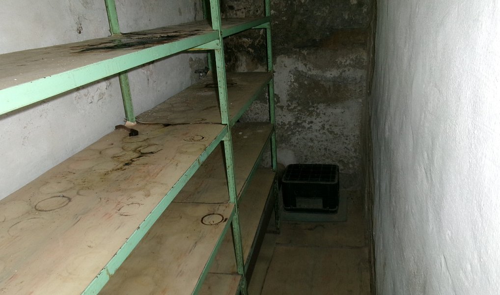 Prodej domu 105 m² s pozemkem 303 m², Staré Město – náhled fotky 28
