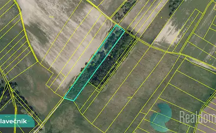 Prodej pole 3 089 m², Hlavečník, okres Pardubice