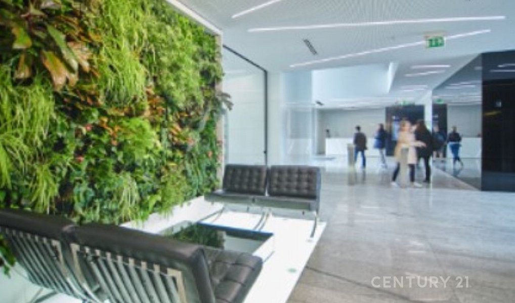Pronájem kanceláře 450 m², Praha – náhled fotky 3