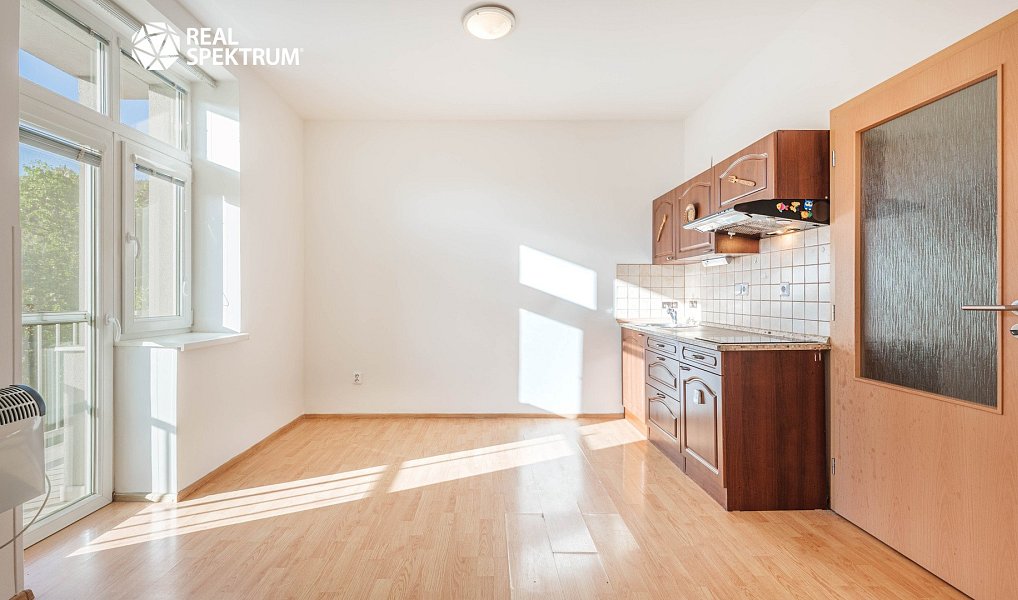Prodej bytu 1+kk 24 m², Brno – náhled fotky 4