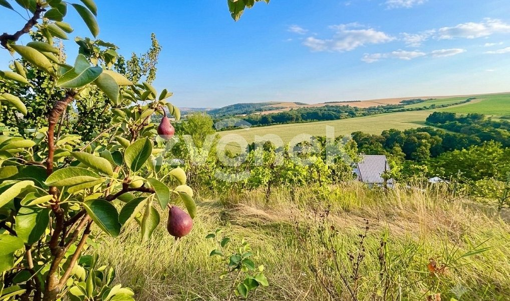 Prodej chaty/chalupy 32 m² s pozemkem 707 m², Napajedla – náhled fotky 5