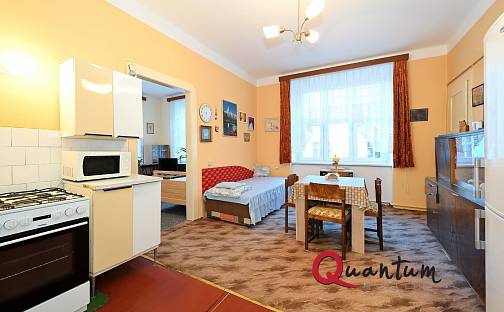 Pronájem bytu 1+1 53 m², Stupkova, Praha 7 - Holešovice