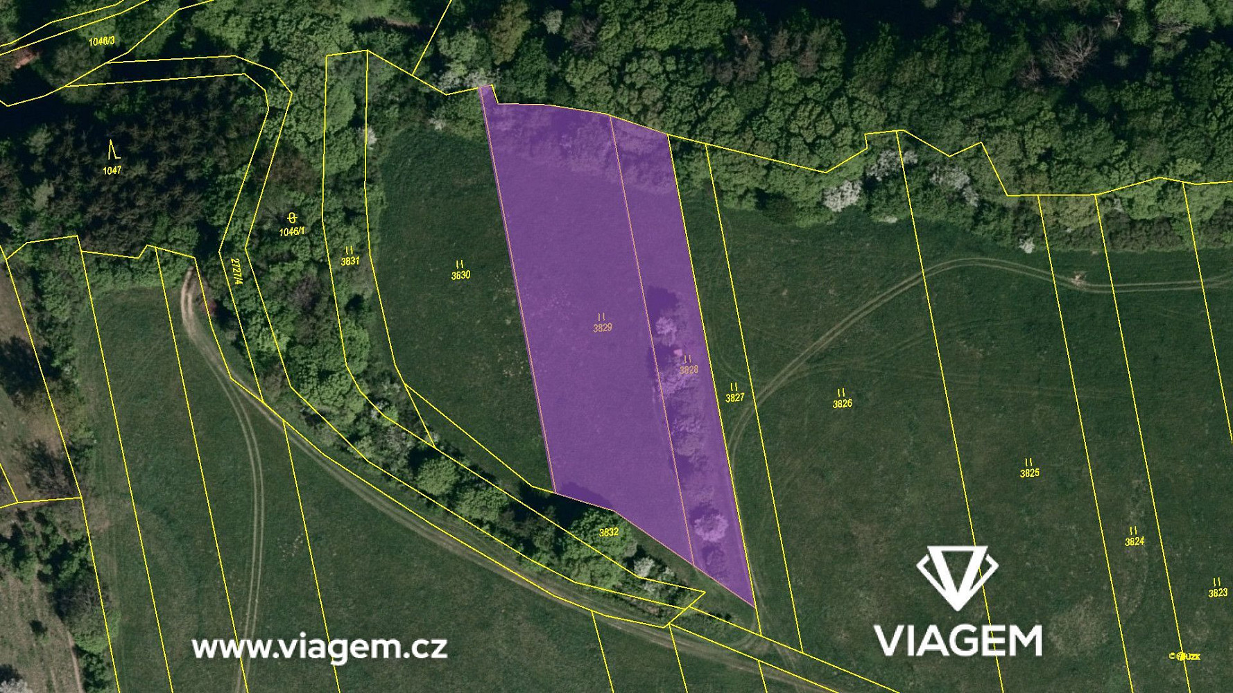 Prodej pole 1 766 m² – fotografie 4