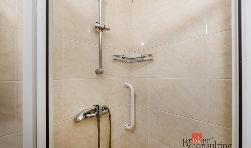 Prodej bytu 2+1 49 m², Plzeň – náhled fotky 13