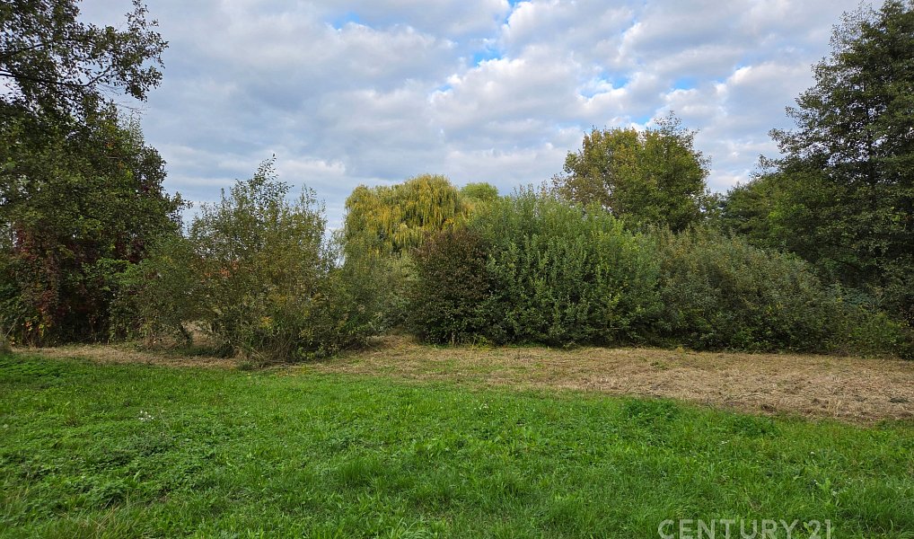 Prodej domu 233 m² s pozemkem 1 748 m², Choťánky – náhled fotky 17