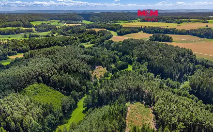 Prodej lesa 22 447 m², Bílá, okres Liberec