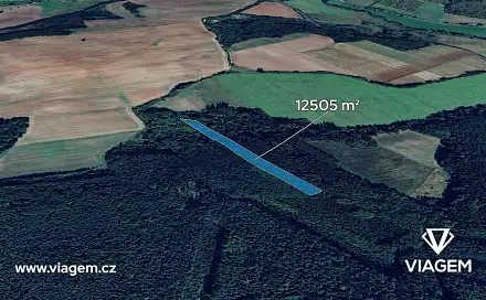 Prodej lesa 5 210 m², Pnětluky, okres Louny