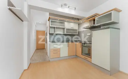 Pronájem bytu 1+kk 27 m², Podlesí II, Zlín