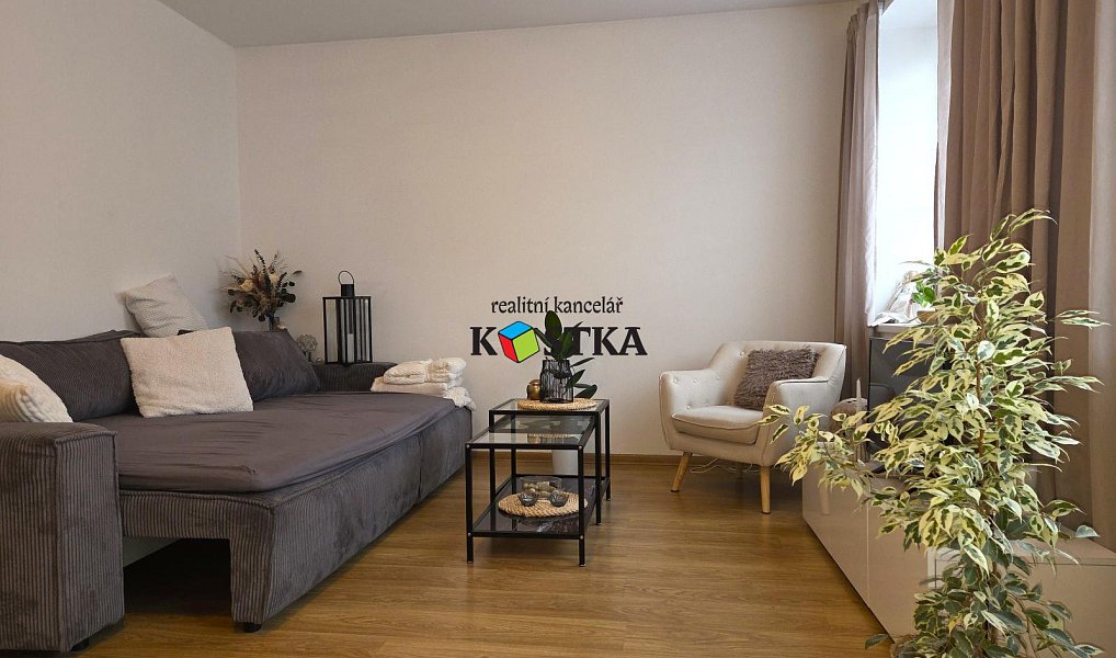 Pronájem bytu 1+1 48 m², Nový Jičín – náhled fotky 2