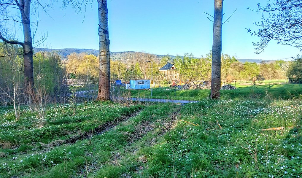 Prodej stavebního pozemku 2 966 m², Stará Voda – náhled fotky 6