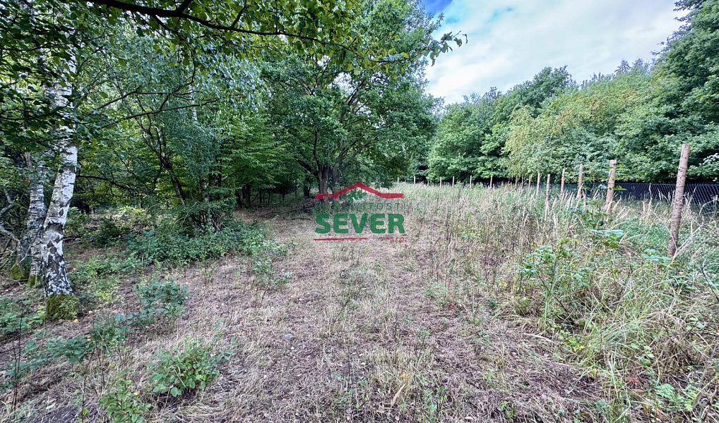 Prodej komerčního pozemku 10 231 m², Litvínov – náhled fotky 10