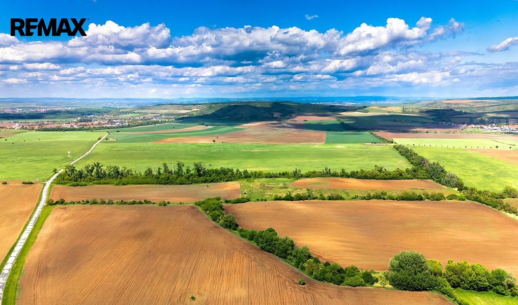 Prodej pole 72 617 m², Pouzdřany – náhled fotky 14