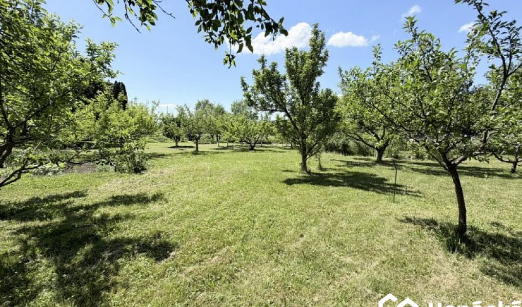 Prodej zahrady 808 m², Jankovice – náhled fotky 10