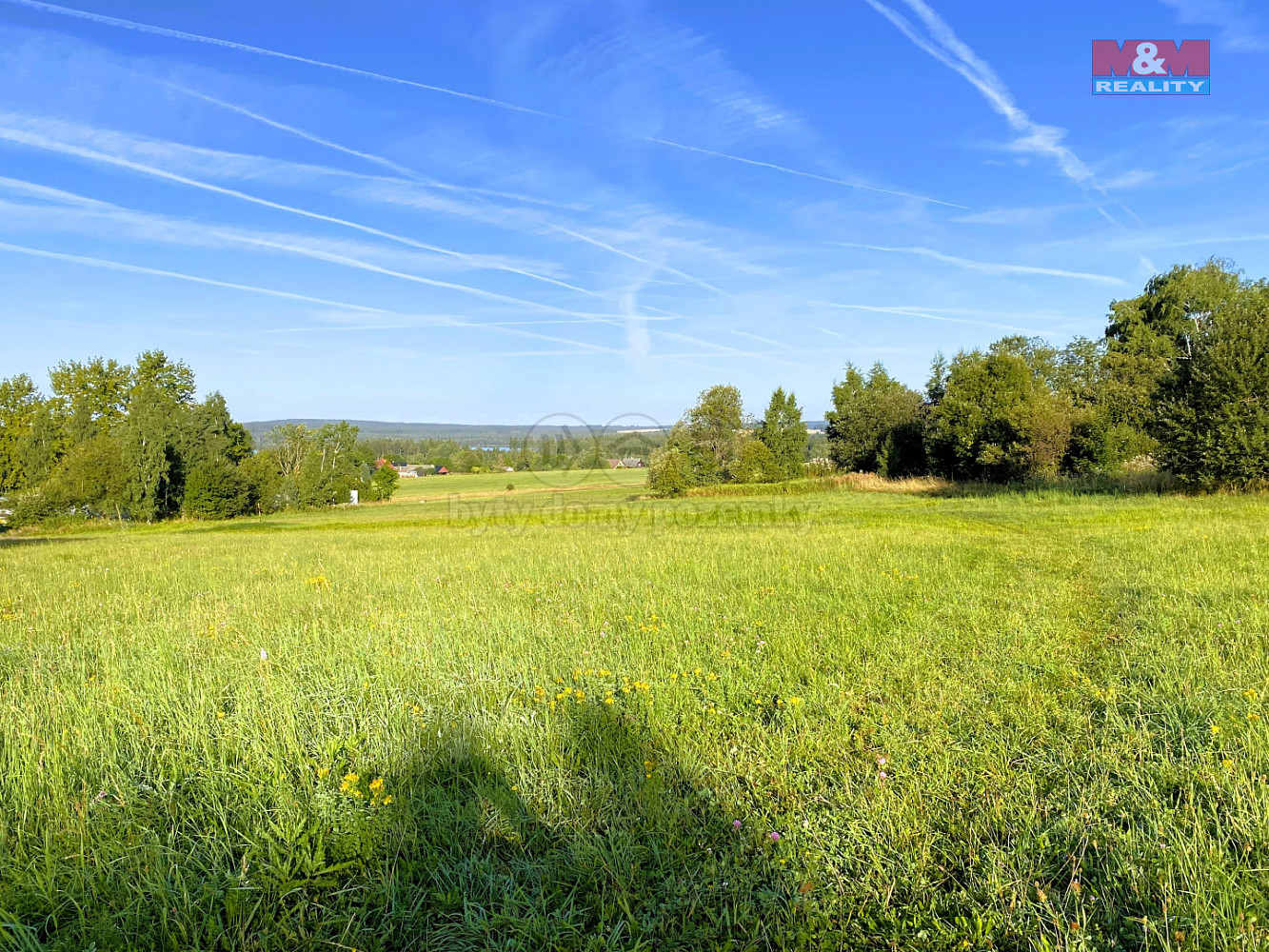 Prodej louky 11 513 m² — photo 2