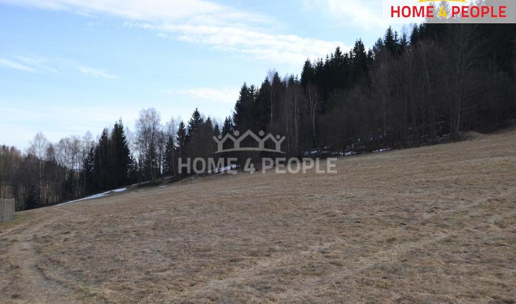 Prodej stavebního pozemku 9 092 m², Bublava – náhled fotky 6