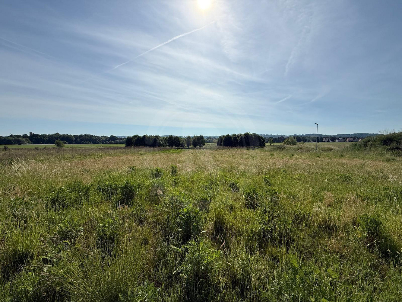 Prodej stavebního pozemku 1 501 m² – fotografie 3