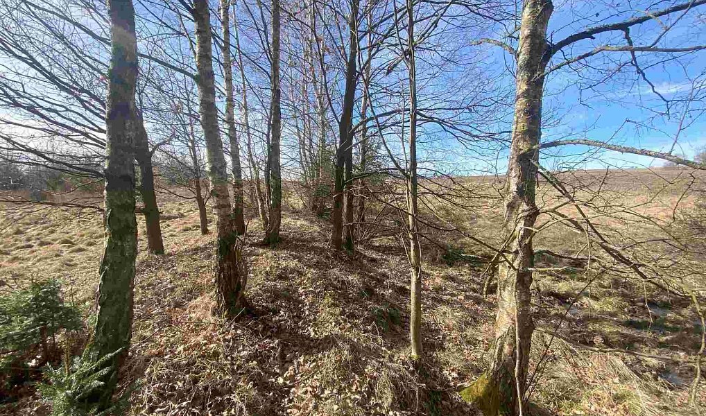 Prodej pole 15 408 m², Františkovy Lázně – náhled fotky 7