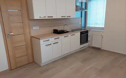Pronájem bytu 1+1 38 m², Krkonošská, Liberec - Liberec III-Jeřáb